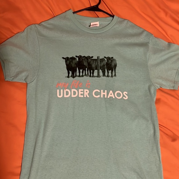 Cow tshirt. Never worn. Good condition. - Picture 2 of 5